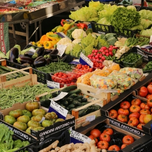 Organic Food Trade