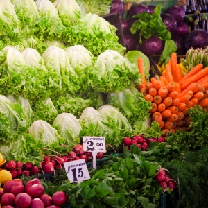 Organic Food Trade
