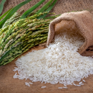 Rice Trade