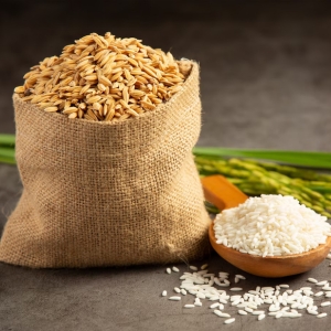 Rice Trade
